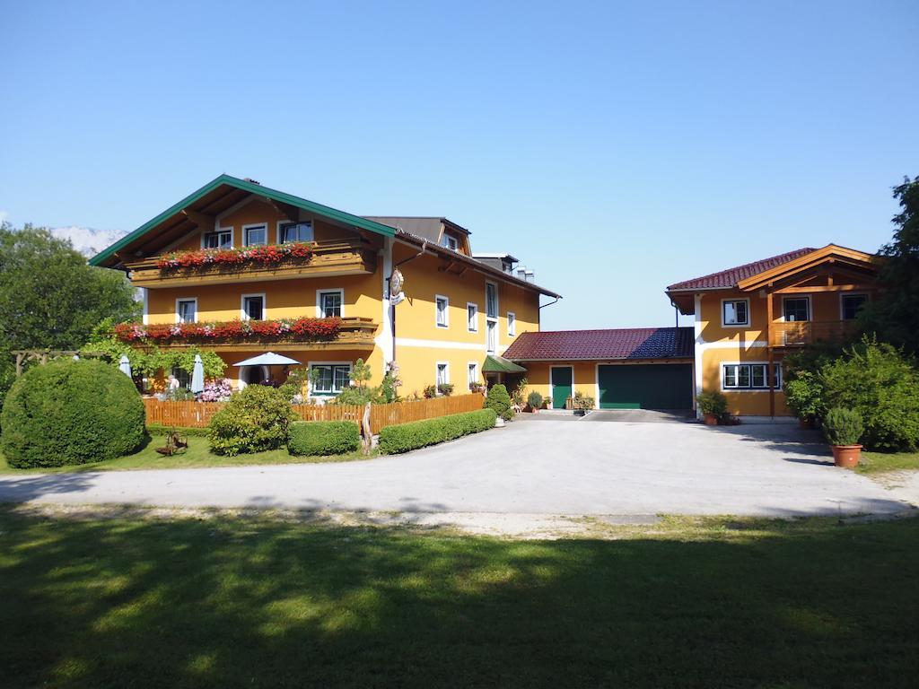 Pension David Hotel Puch bei Hallein Exterior photo