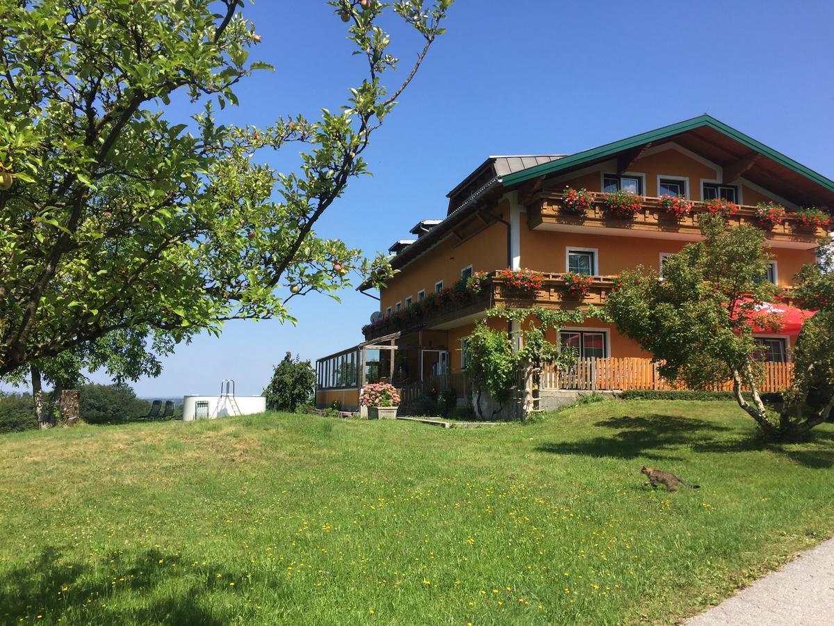 Pension David Puch bei Hallein Exterior photo